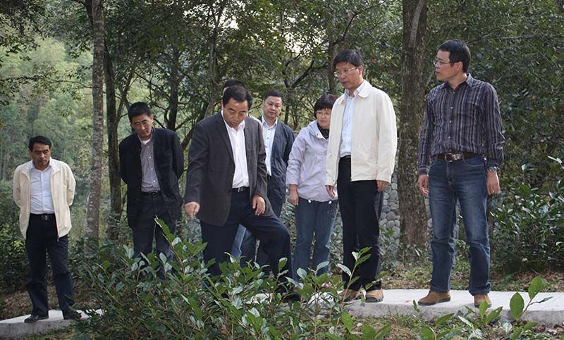 區(qū)委、區(qū)政府關(guān)注公司桃源野茶谷建設(shè)與發(fā)展情況.jpg