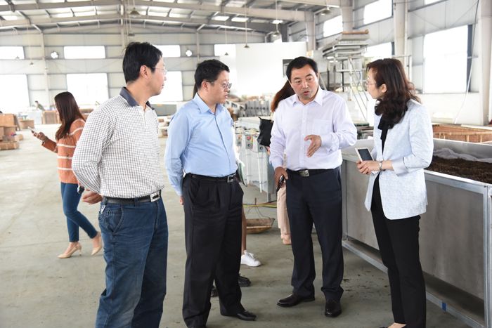 省外辦副主任陸友勤調研六百里茶業(yè).jpg
