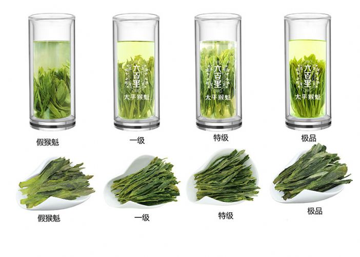 太平猴魁是最大、最好、最珍貴的茶.jpg