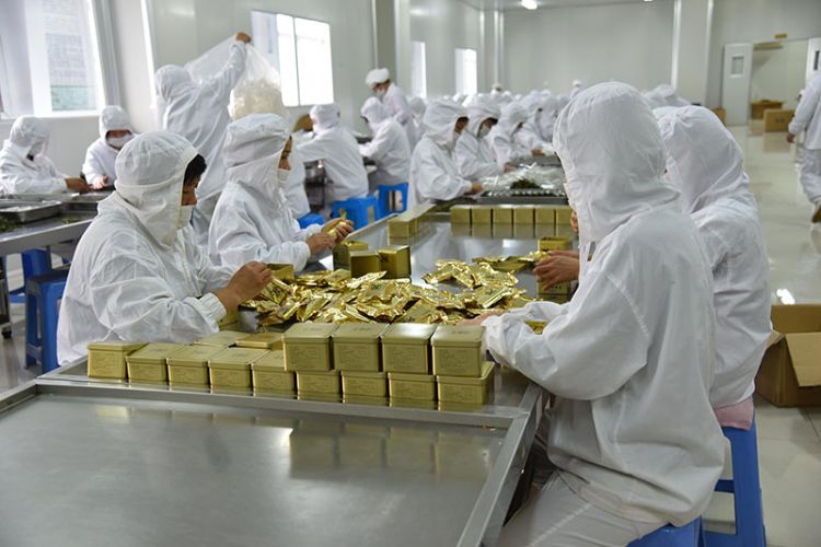 太平猴魁是最大、最好、最珍貴的茶.jpg