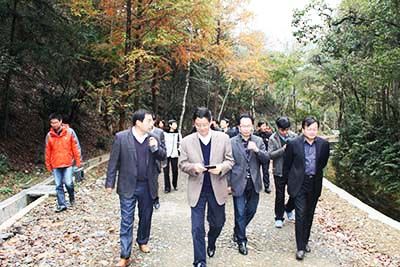 安徽省省、市政協(xié)委員視察六百里猴魁公司野茶谷.jpg
